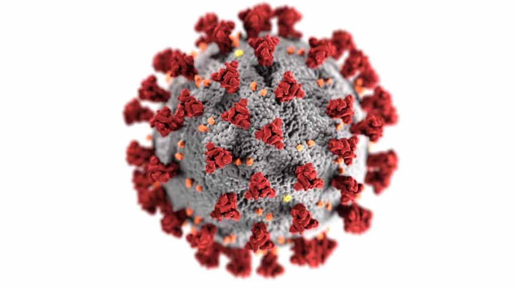Photo of virus that causes COVID-19