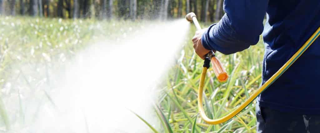 Photo of a gardener spraying Roundup