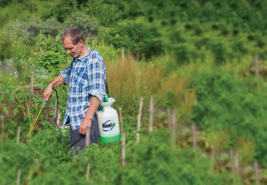 Photo of a man in a garden using Roundup weed killer